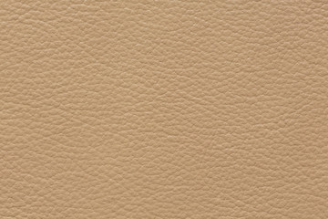 Classic leather texture in perfective beige colour.