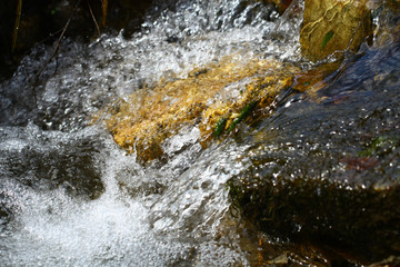 Torrent