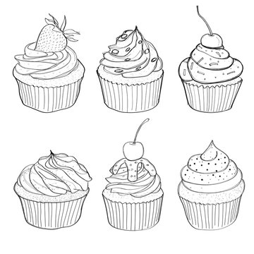 capcake vector hand drawn illustration