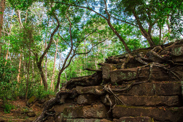 Angkor Wat, Angkor, Siem Reap, Cambodia