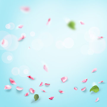 Rose petals falling, floral blurred, bokeh lights romance wallpaper for spa or wedding,  women's day, anniversary, romance, love, decoration, mockup pastel, copy space for text