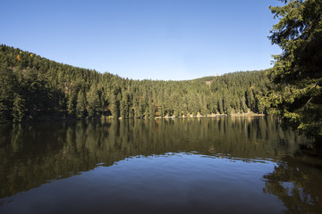 Fototapeta na wymiar The Mummelsee in the Black Forest surrounded by mountains_Baden Wuerttemberg_Germany