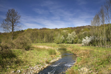 Fototapeta na wymiar The Geleenbeek river