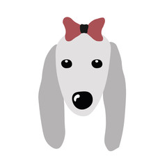 Vector illustration with dog