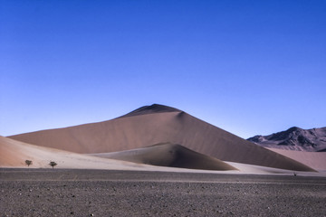 Fototapeta na wymiar Dunes of Namib Desert, Namibia, Africa 