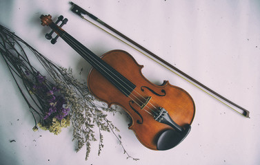 Fototapeta na wymiar The abstract art design background of classic violin and bow put beside dried flower bouquet,on background,in vintage and art style,