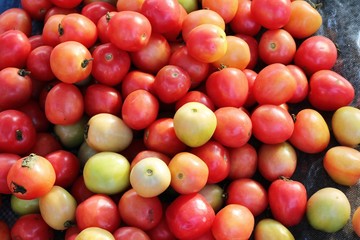 Fresh tomatoes for cooking in street food