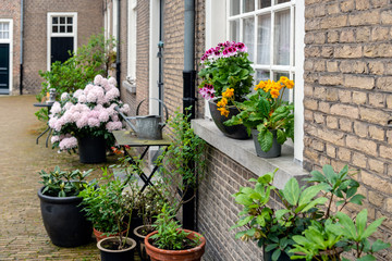 Fototapeta na wymiar Flowering potted plants in a beguinage