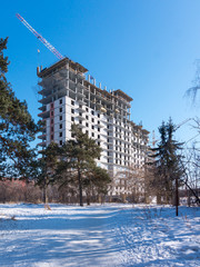 Residential building construction place in winter forest with a pine around it