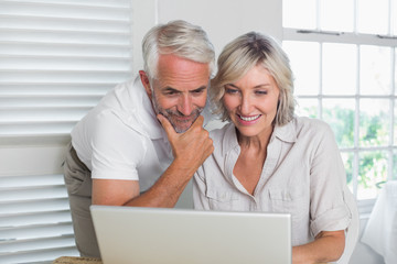 Mature couple using laptop