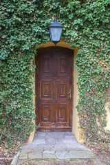 Medieval old stone wall and door with climbing plant. 