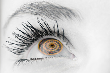 Close up of female blue eye against spiral