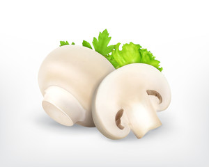Fototapeta premium Champingnon with parsley and lettuce