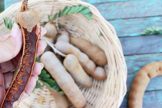 Tamarind fruit is delicious with the nature