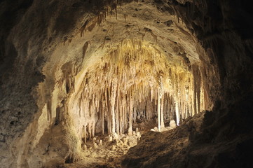 USA. Carlsbad Caves