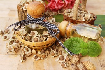 Moringa oleifera oil and seeds on wood background