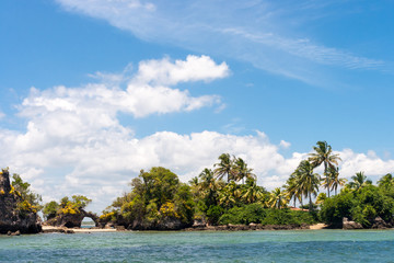 Beautiful island with coconut trees in the sea of Bahia, Brazil.