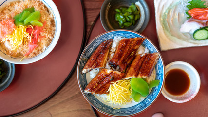 Grilled Eel Rice