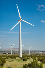 Dramatic Wind Turbine Farm in the Desert of California.