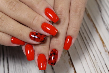 Summer manicure and nail color samples. © SmirMaxStock