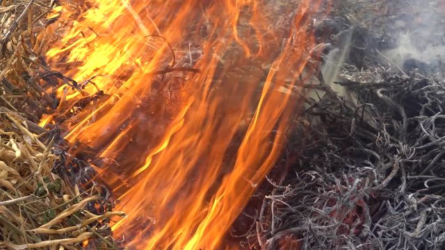 Burning grass red fire in the background