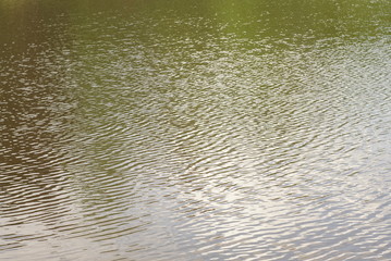 pond water surface with small waves