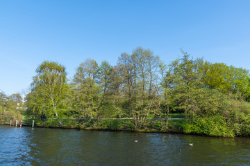 Fototapeta na wymiar Trees on the banks of River Spree