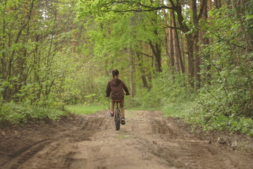Fototapeta premium Little brunette girl without helmet riding bicycle in the forest in spring