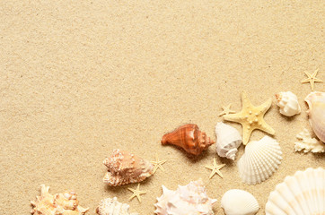 Fototapeta na wymiar Sea sand with starfish and shells. Top view with copy space.