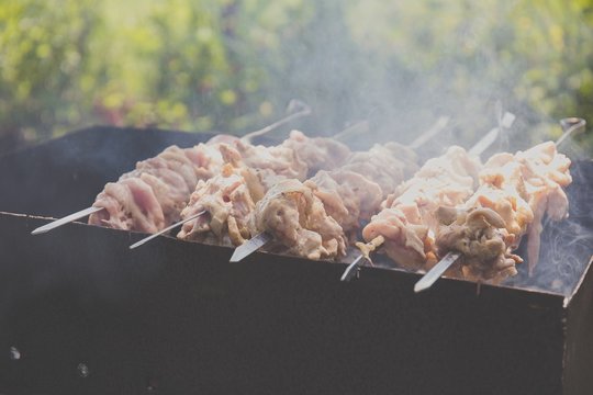 BBQ & Grilled Chicken Skewers and Kabob