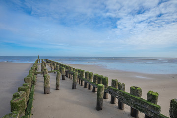 Lonely Beach At Domburg Veere With Timber Piles Netherlands