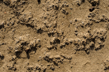 Textured background of wet river sand with little stones