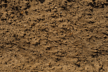 Textured background of wet river sand with little stones and natural debris