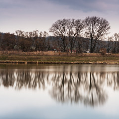 Fototapeta premium Herbstliches Ufer am See