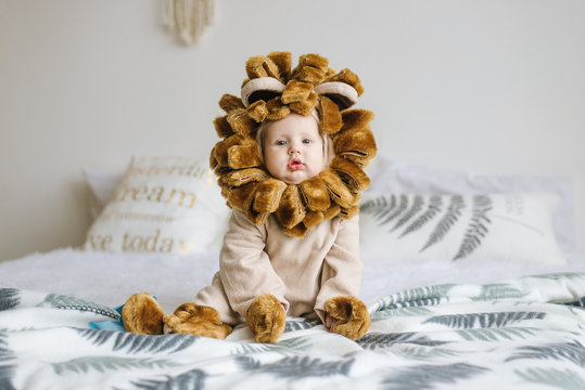 Handsome plump little child in a lion costume.