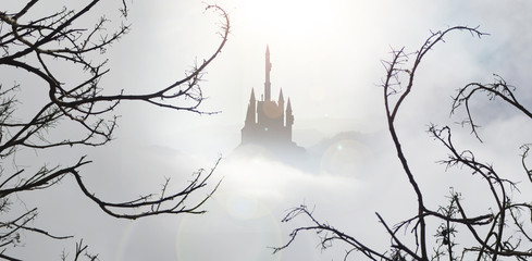 fairytale castle in mist from spooky wood © stuart