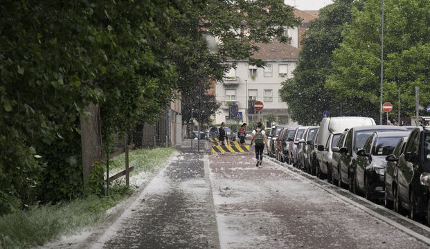 polline di pioppo sulle strade e sul terreno