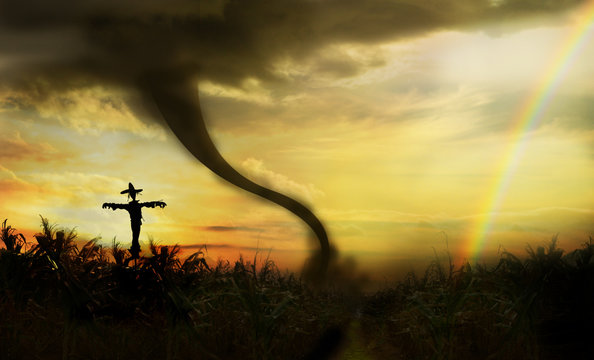 scarecrow in cornfield with rainbow and tornado in background