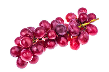Branch of red grapes