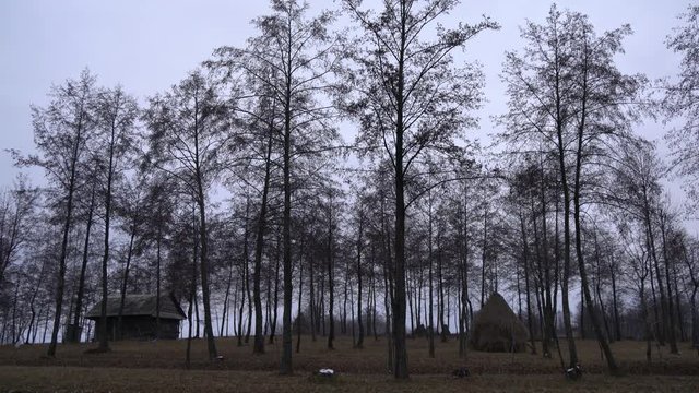 Countryside landscape