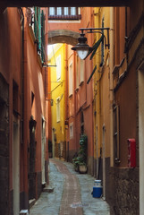 Fototapeta na wymiar Narrow street of the Manarola village Italy