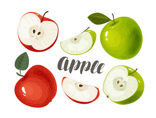 Apple and slices. Fresh and juicy fruit. Vector illustration