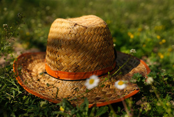 Straw hat on green grass with blurred daisies