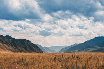 Prairie among the mountains. The valley is far away in the blue mountains. Natural Landscapes.