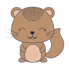 cute squirrel icon over white background, cute animals concept concept, colorful design. vector illustration