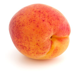 One apricot isolated on white background cutout
