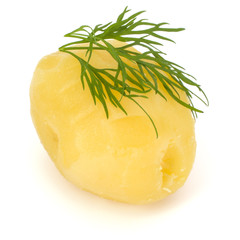 one boiled peeled potato with dill  isolated on white background cutout