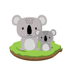 cute koalas on the grass over white background, colorful design. vector illustration