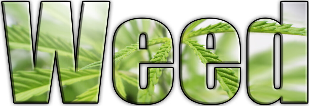 Weed Logo With Marijuana Leaf Inside