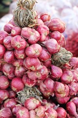 Shallot - asia red onion for at cooking